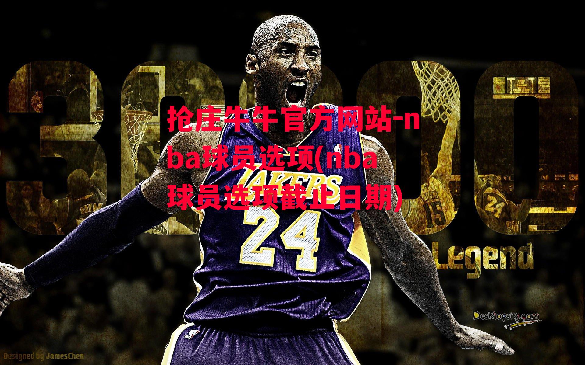 nba球员选项(nba球员选项截止日期)